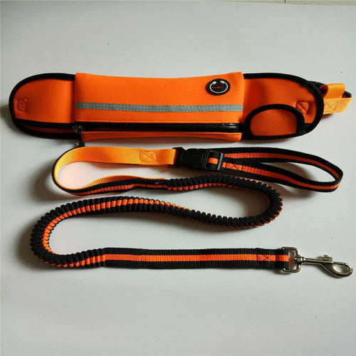 Sacoche de sport avec laisse pour chien – Imperméable et réfléchissante