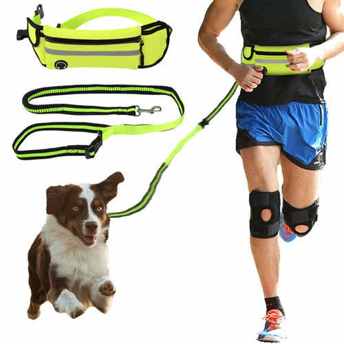 Sacoche de sport avec laisse pour chien – Imperméable et réfléchissante