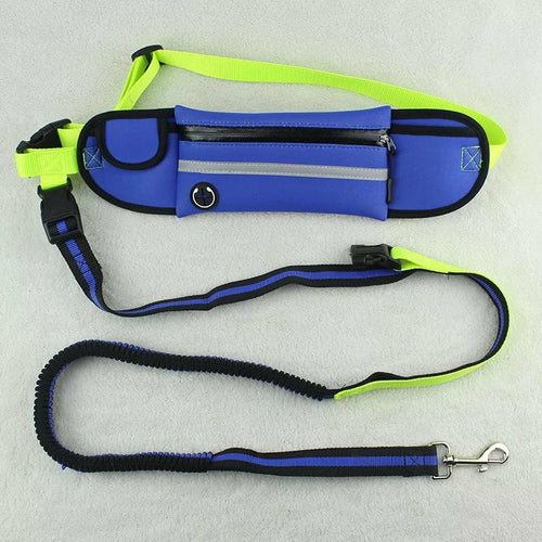 Sacoche de sport avec laisse pour chien – Imperméable et réfléchissante