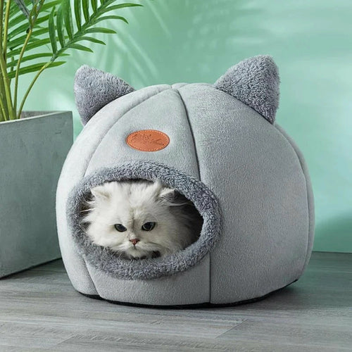 Maison et panier 2-en-1 pour chat