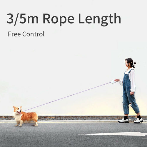 Laisse Rétractable Lumineuse pour Chien – LED & Anneau RGB – 3m ou 5m