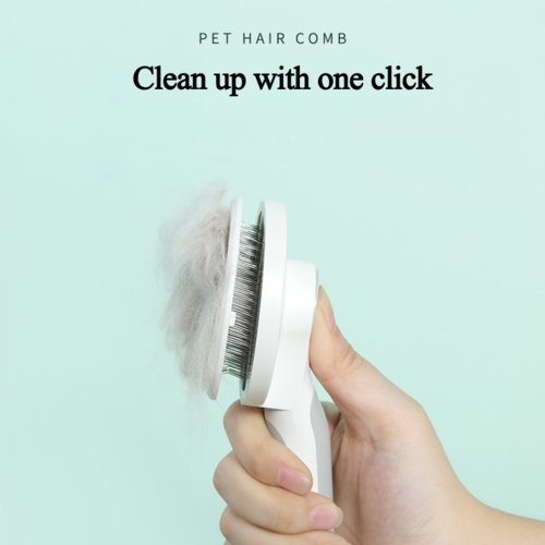 Brosse de massage et peigne de toilettage pour chien et chat