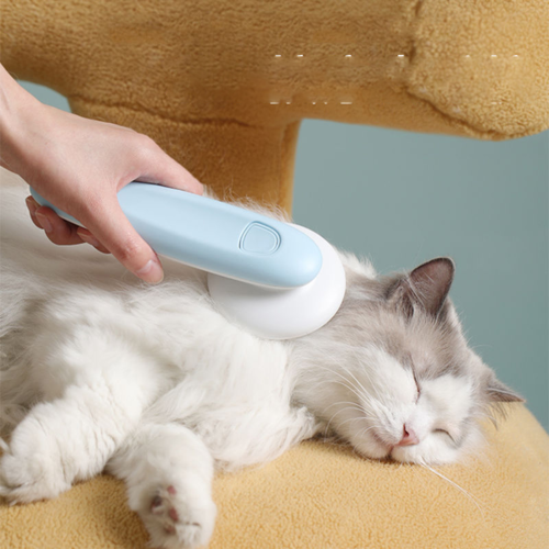 Brosse de massage et peigne de toilettage pour chien et chat