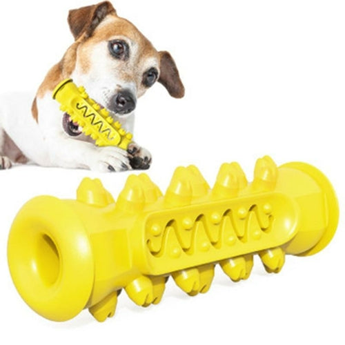 Jouet à mâcher et nettoyant dentaire pour chien