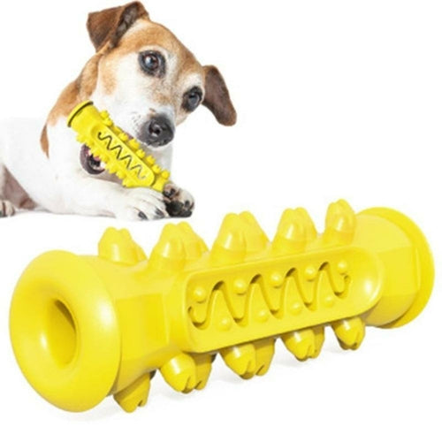 Jouet à mâcher et nettoyant dentaire pour chien