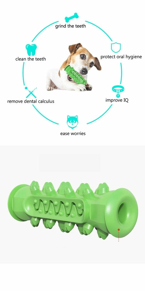 Jouet à mâcher et nettoyant dentaire pour chien