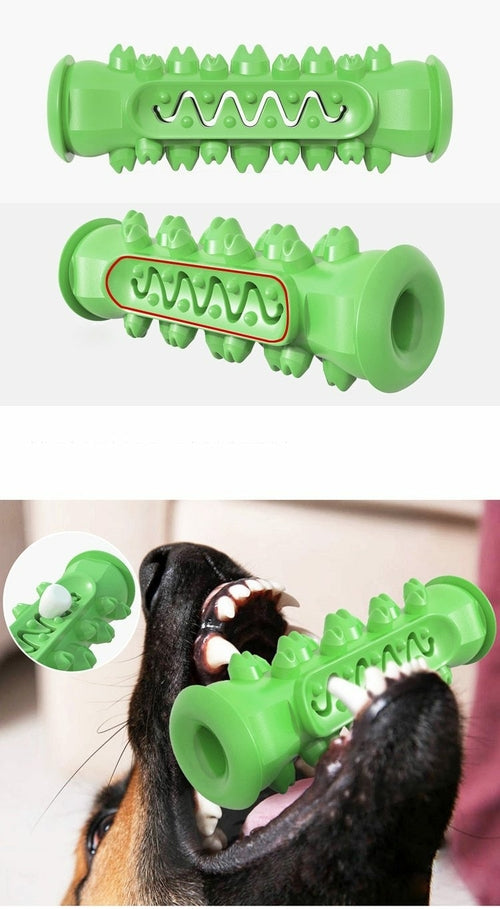 Jouet à mâcher et nettoyant dentaire pour chien