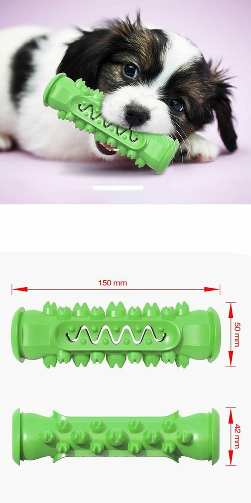 Jouet à mâcher et nettoyant dentaire pour chien