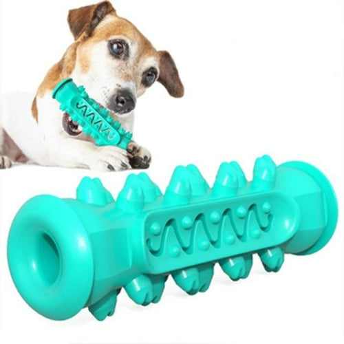 Jouet à mâcher et nettoyant dentaire pour chien